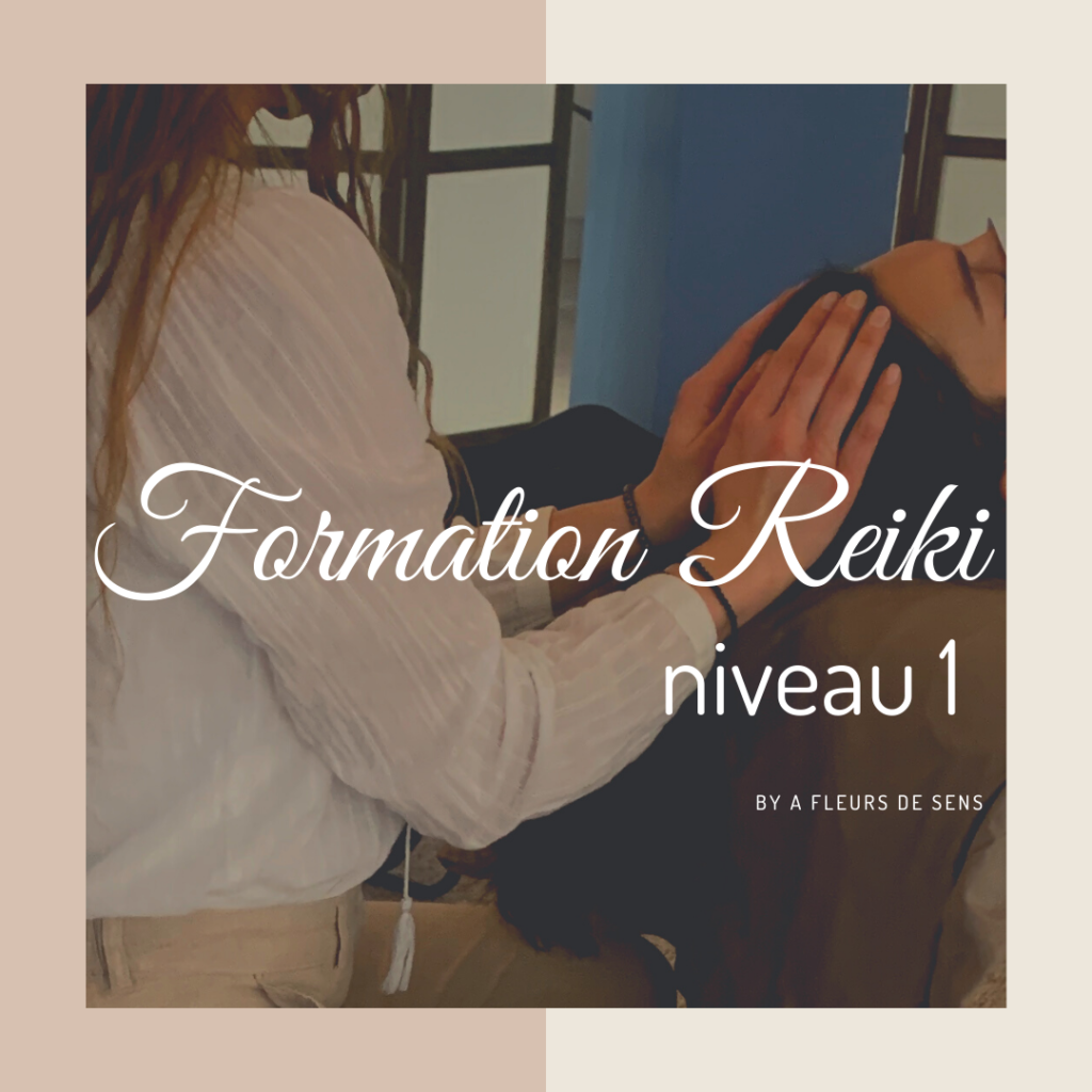 Formation reiki 1 grenoble